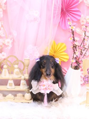 20250330オレンジくん